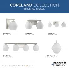 PROG_COPELAND_COLLECTION_BRUSHED_NICKEL_GeneralLit.jpg