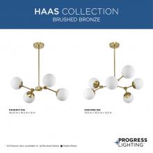 PROG_HAAS_COLLECTION_BRUSHED_BRONZE_GeneralLit.jpg