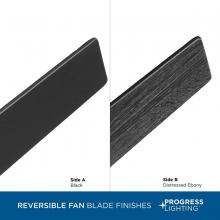 PROG_P250058-031-30_Black_Distressed-Ebony_blades.jpg