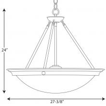 PROG_P3575-09dimensions_lineart.jpg