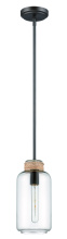 Craftmade P435ESP1 - 1 Light Pendant w/Clear Glass