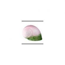 Meyda White 11715 - 5"W X 6"L PINK/GREEN PATE-DE-VERRE SNAIL SHADE