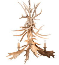 Meyda White 212272 - 28" Wide Antlers White Tail & Fallow Deer 4 Light Chandelier